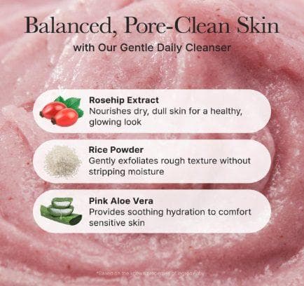 Arencia Fresh Rosehip Rice Mochi Cleanser 120g